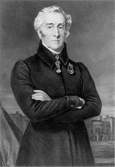 Duke of Wellington (1769-1852) by Unknown